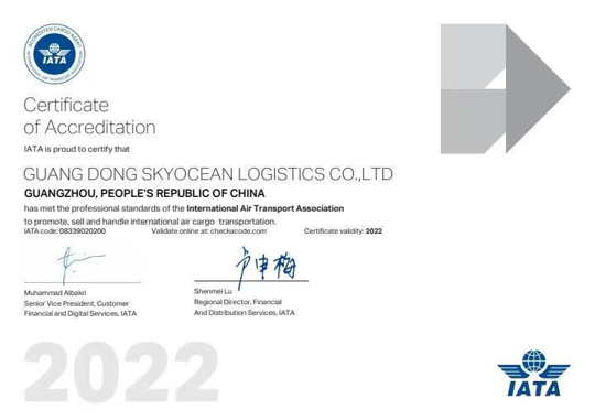 GUANG DONG SKYOCEAN LOGISTICS CO.,LTD