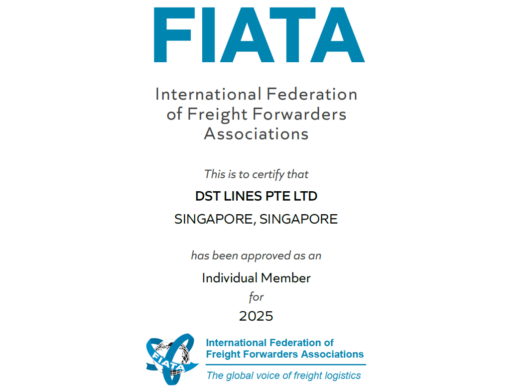 DST LINES PTE. LTD.