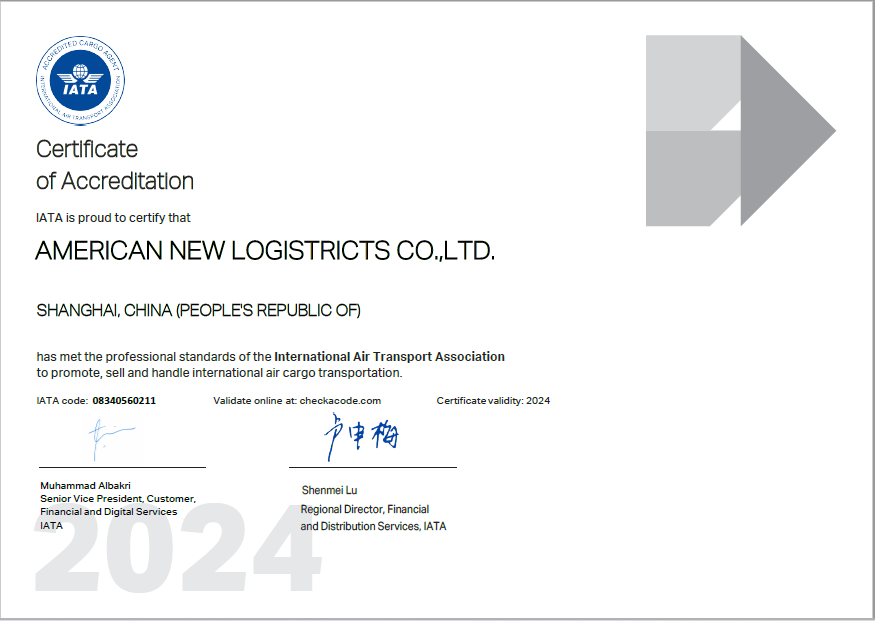 AMERICAN NEW LOGISTICS SERVICE
