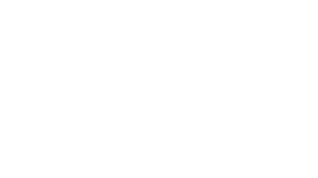 EMERALD EXPRESS