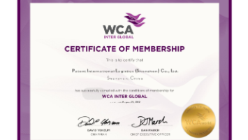 Patent International Logistics (Shen Zhen) Co., Ltd Dongguan Branch默认证书名称