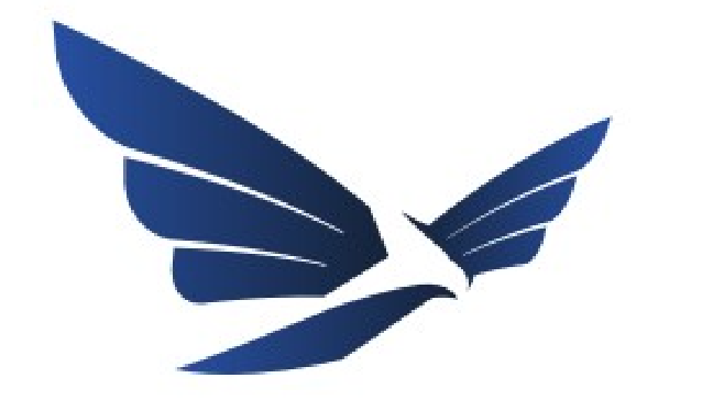 EAGLE EXPRESS LOGITICS INC