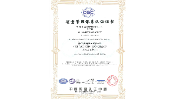 Patent International Logistics (Shen Zhen) Co., Ltd Dongguan Branch默认证书名称