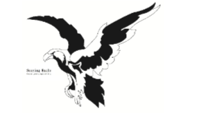 XIAMEN SOARING EAGLE SUPPLY CHAIN MANAGEMENT CO.,LTD