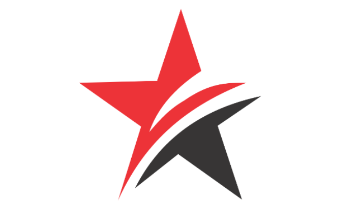 First Stars Est for Logistics Services logo