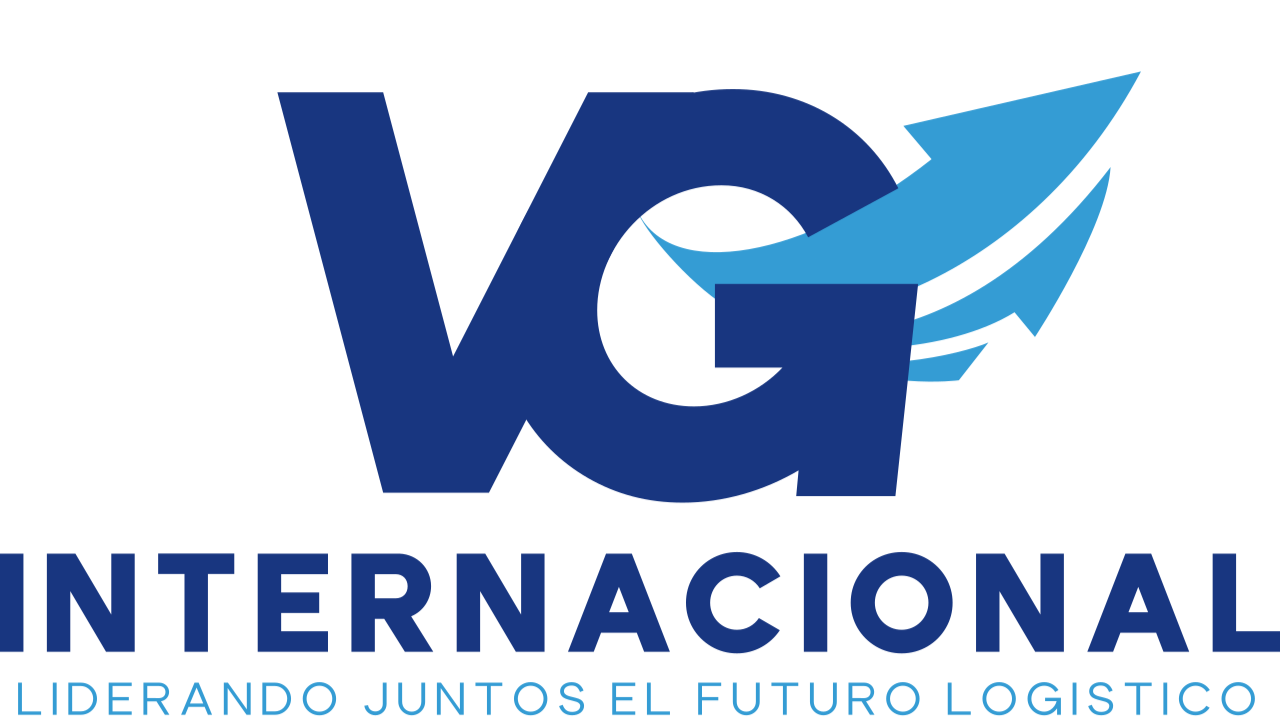 VG Internacional logo