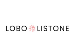 LOBO & LISTONE LLC logo