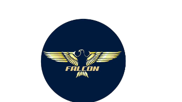 FALCON INDIA LINES PRIVATE LIMITED logo