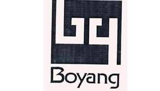 中国渤洋集团有限公司 logo