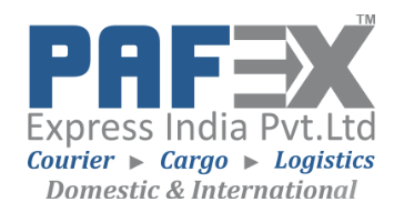 PAFEX EXPRESS INDIA PRIVATE LIMITED logo