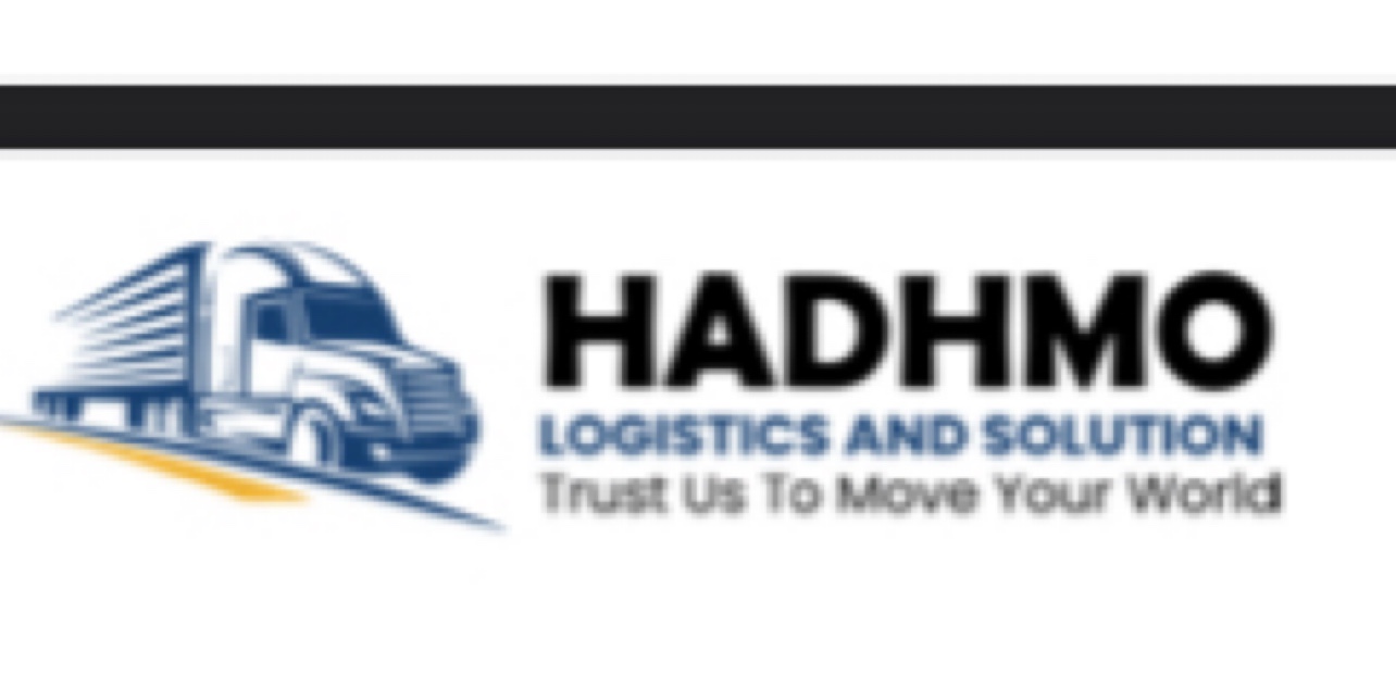 hadhmologidtic-solution.com