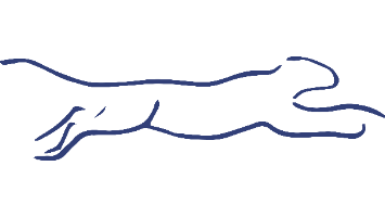 CHEETAH EXPRESS, INC. (Los Angeles)
