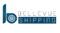 Bellevue International Logistics (Shenzhen) Co., Ltd