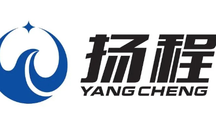 浙江扬程国际物流有限公司 logo