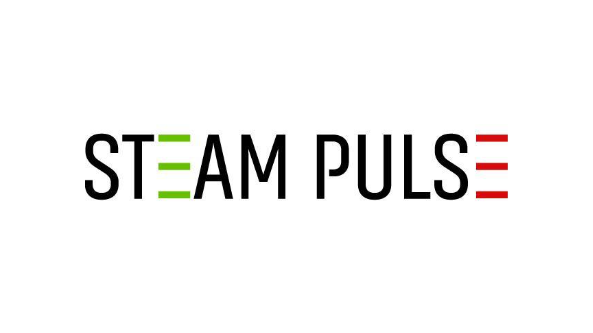 STEAM PULSE INDIA PRIVATE LIMITED logo
