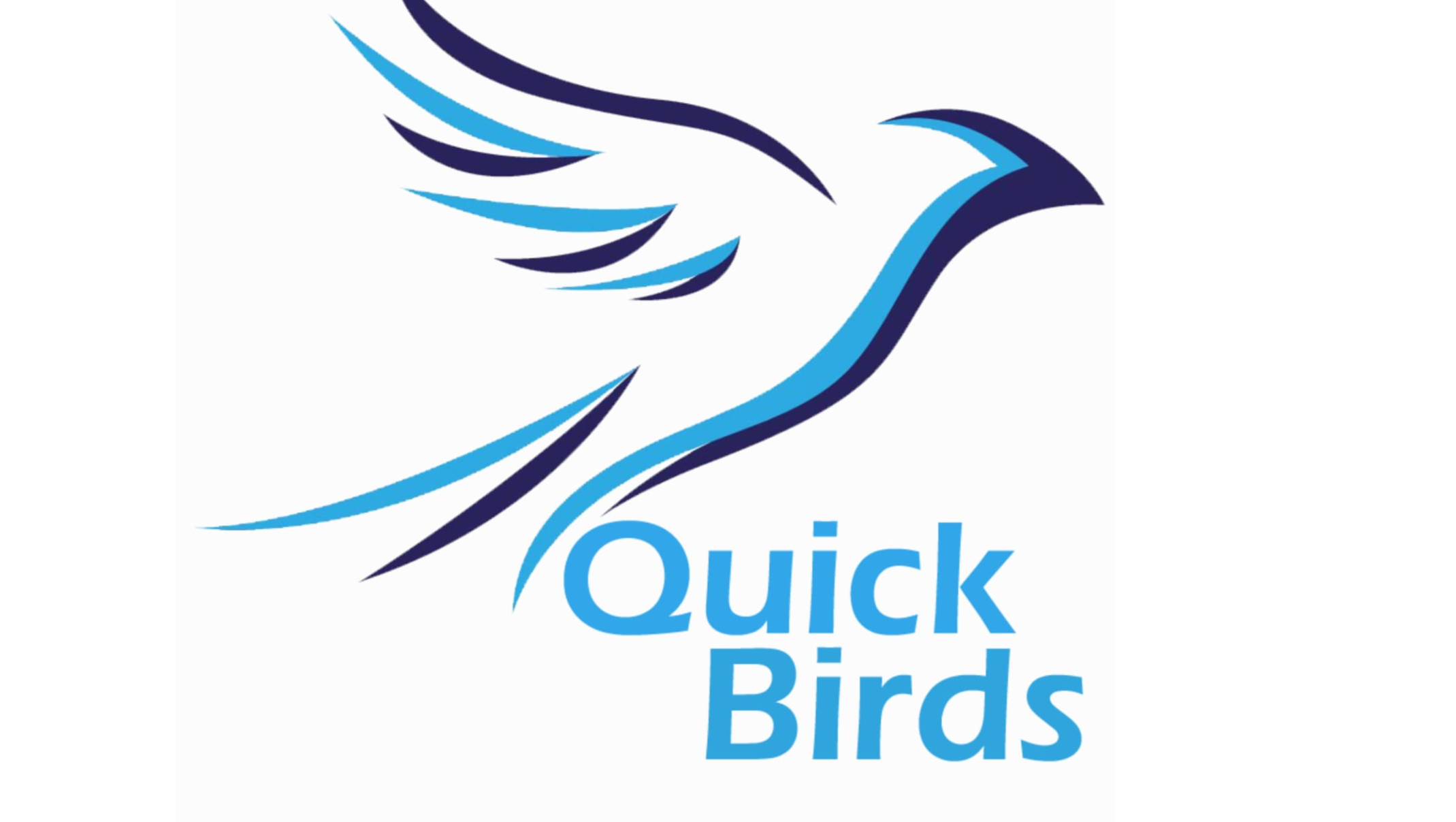 Quick Birds