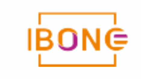 WUHAN IBONE SUPPLY CHAIN MANAGEMENT CO.LTD