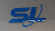 上海晟澜国际货物运输代理有限公司 logo