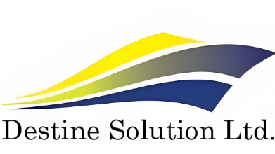 DESTINE SOLUTION LIMITED logo