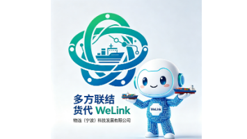 WE-LINK (NINGBO) TECHNOLOGY DEVELOPMENT CO., LTD