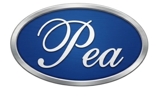 Paramount Express Agencies Sdn Bhd logo