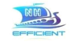 Qingdao EFFICIENT INTERNATIONAL LOGISTICS CO.LTD