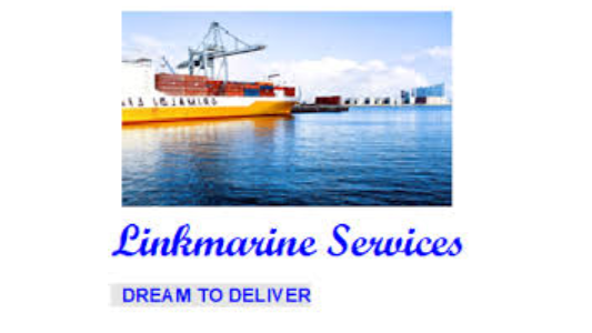 LINKMARINE LOGISTIC SERVICES PRIVATE LIMITED logo