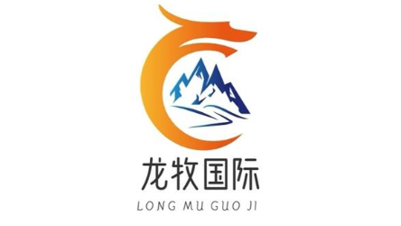 Shanghai Longmu International Logistics Co., Ltd. logo