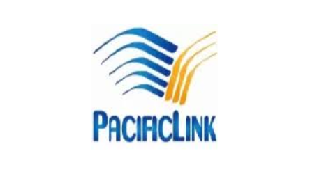 PACIFIC LINK INTERNATIONAL FREIGHT FORWARDING VIETNAM COMPANY LIMITED logo