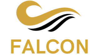 FALCON SERVICES