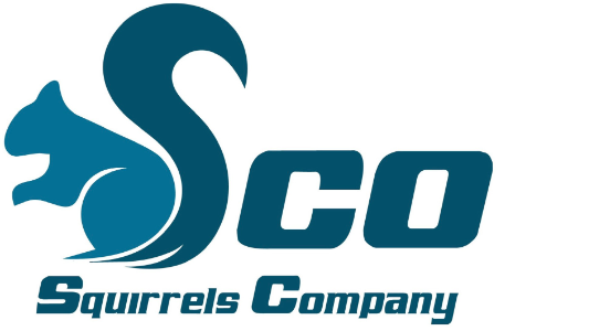 SQUIRRELS TRANSPORTATION DELIVERY SERVICES COMPANY LIMITED