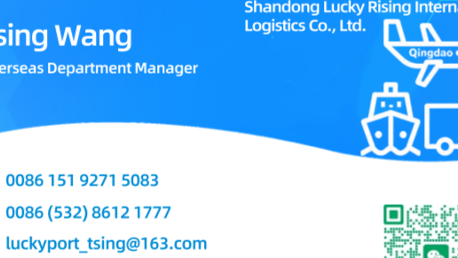 LUCKY RISING INTERNATIONAL LOGISTICS logo