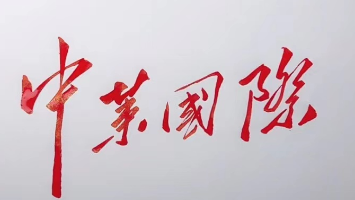 QINGDAO SINO LIKE INTERNATIONAL LOGISTICS CO.,LTD. logo