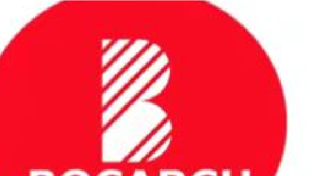 Bocarch international Limited