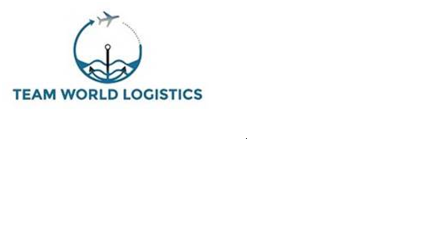 TEAM WORLD LOGISTICS L.L.C