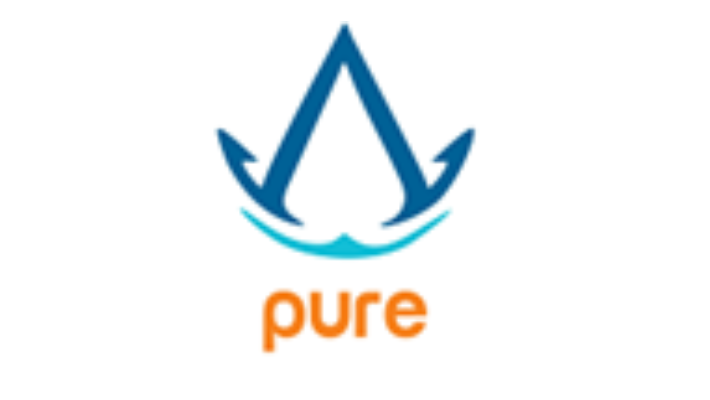 Pure Shipping and Forwarding India Pvt Ltd
