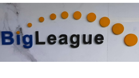 SHENZHEN BIGLEAGUE SUPPLY CHAIN CO.,LTD