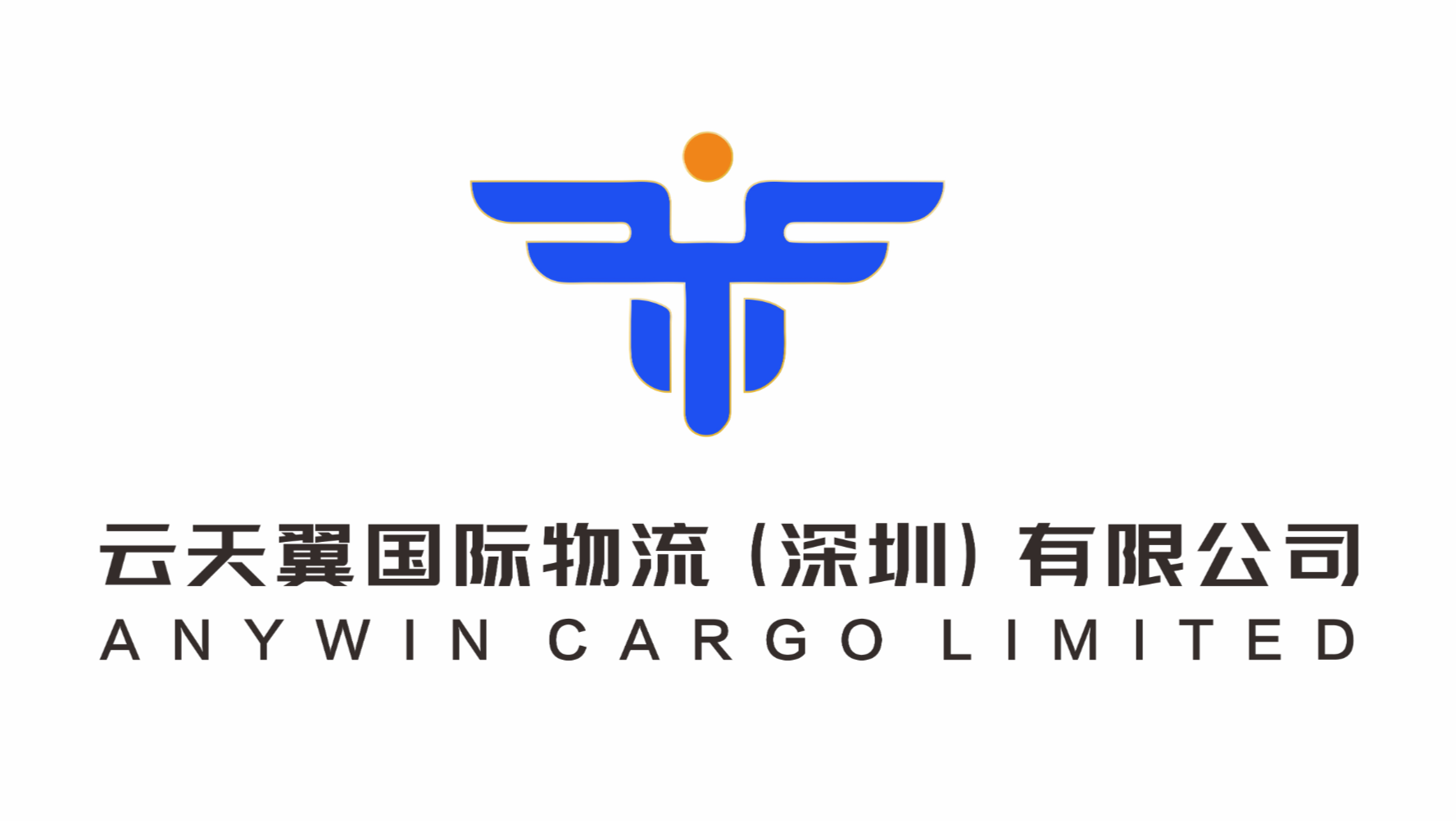云天翼国际物流（深圳）有限公司 logo