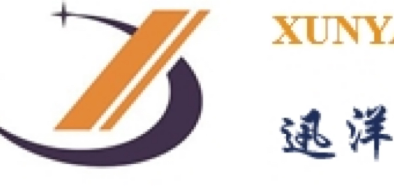Xunyang International logistics LTD logo