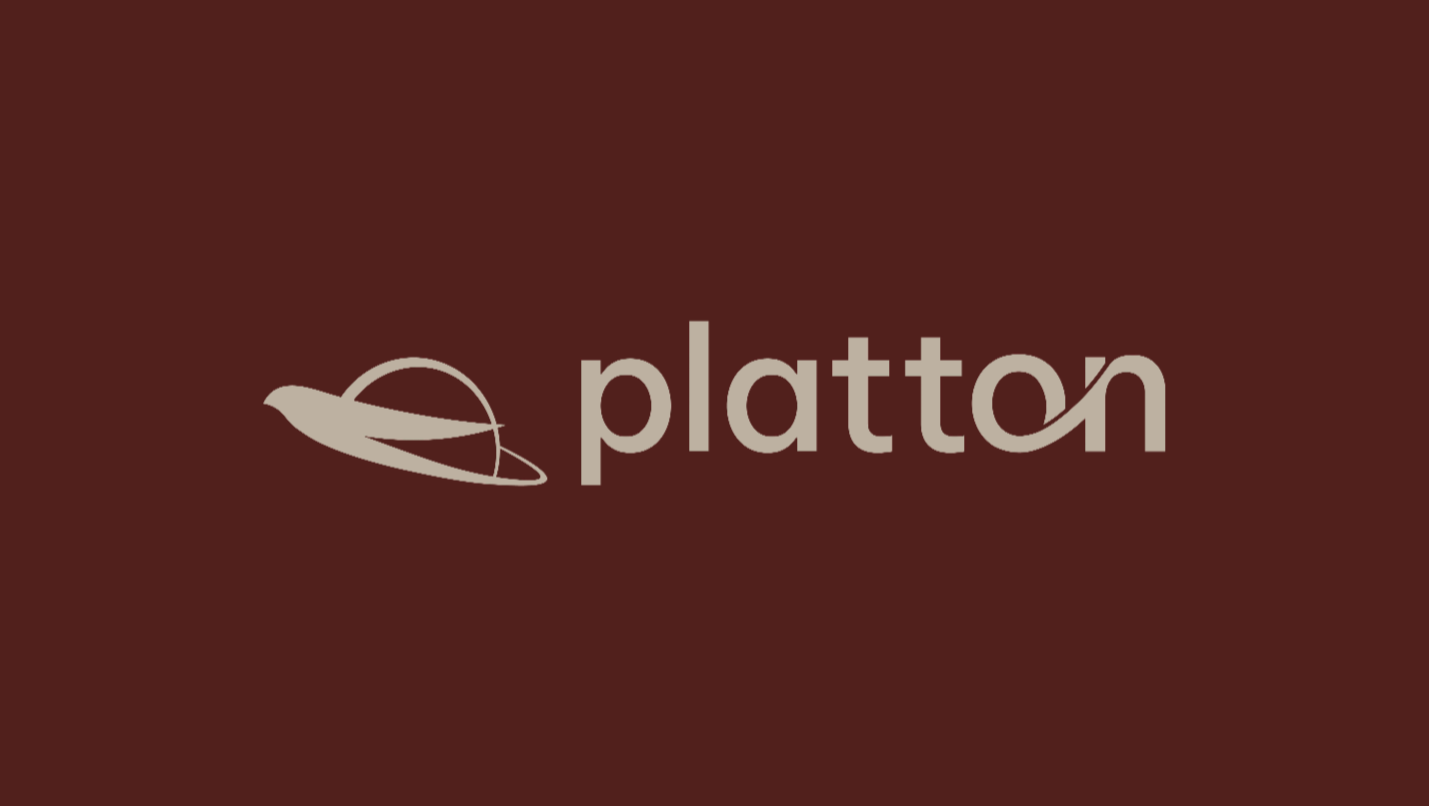 Platton Inc.