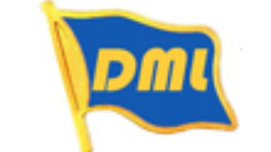 DOMILINKS SUSUMU FUJIWARA logo