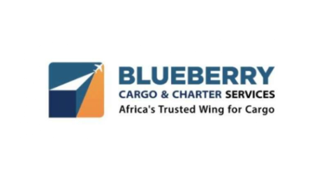 BLUEBERRY CARGO AND CHARTER SERVICES logo