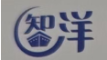 Shanghai Wise Shipping Co.,Ltd. logo