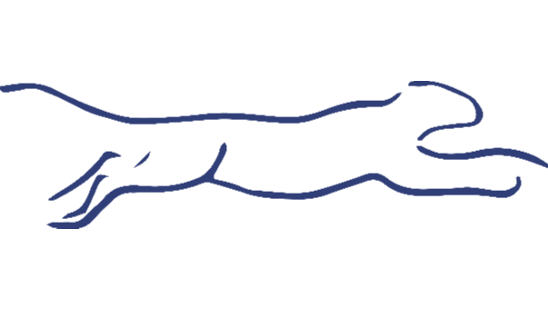 CHEETAH EXPRESS, INC. (Chicago)