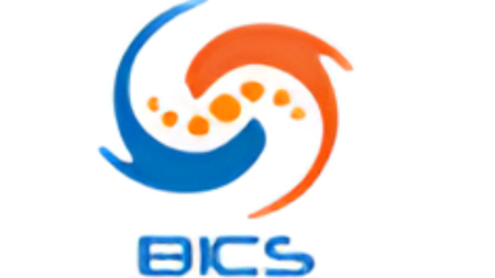 Best International Cargo Services