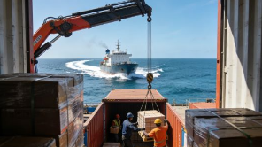 Decision Matrix: Helping Shippers Navigate the FCL and LCL Difference