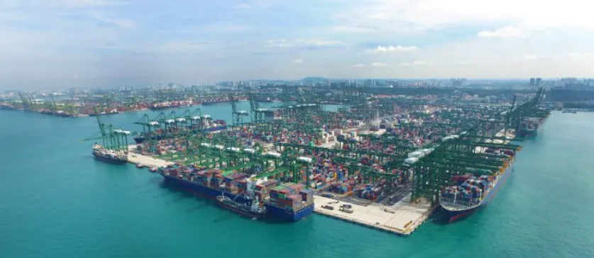 Effective Soon! Stricter Customs Regulations, Penalties Up to SGD 10,000 or Imprisonment