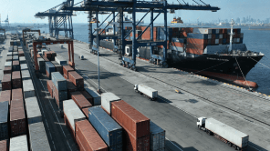 Master AFR Filings for Sea Freight Cargo from Shanghai to Tokyo