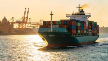 Avoiding container holding delays by auditing standard Customs Terminal procedures and border Inspection Policy updates