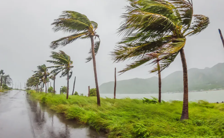The four major ports in southern India have sounded the alarm, with heavy rains and thunderstorms on the verge of breaking out!